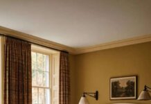 14 Colors Set to Replace Gray by 2027: Discover the Future Palette