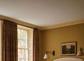 14 Colors Set to Replace Gray by 2027: Discover the Future Palette