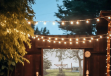 20 Creative Backyard Movie Night Ideas for a Memorable Summer