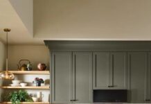 Behr Color of the Year 2027: Discover Grounded, Earthy Olive