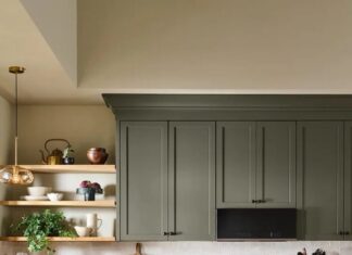 Behr Color of the Year 2027: Discover Grounded, Earthy Olive