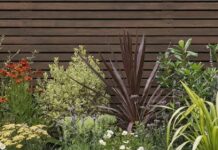 Layered Planting Ideas for a Stunning Garden Design
