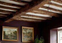 Moody Kitchen Color Palettes for a Timeless, Elegant Vibe