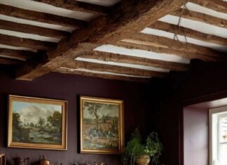 Moody Kitchen Color Palettes for a Timeless, Elegant Vibe