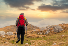 Solo Hiking: Discover the Mental and Physical Perks of Solo Trips