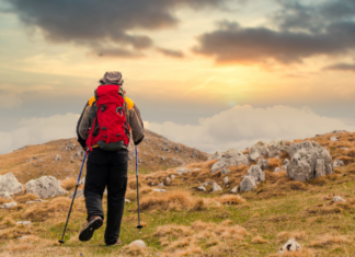 Solo Hiking: Discover the Mental and Physical Perks of Solo Trips