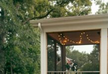 Teak’s Silver Grey: Causes and Should You Prevent It?