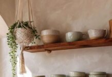 Transform Your Home with 8 Inspiring Biophilic Decor Ideas