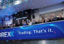 iFOREX Lowers Outlook After Income Drop; Who’s Responsible for AI Trades?