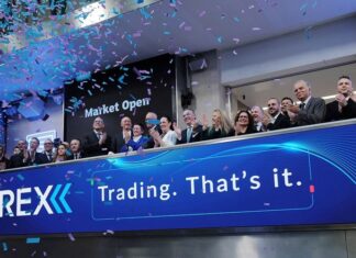 iFOREX Lowers Outlook After Income Drop; Who’s Responsible for AI Trades?